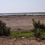 بهره برداری از سد «ایلیسو» در ترکیه و خطری که هورالعظیم را تهدید می‌کند￼