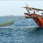 صید ماهی شوریده در خوزستان آزاد شد